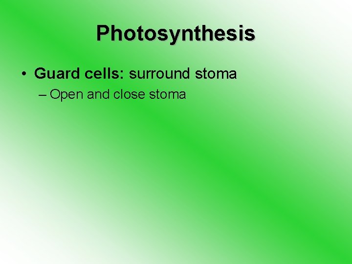 Photosynthesis • Guard cells: surround stoma – Open and close stoma 