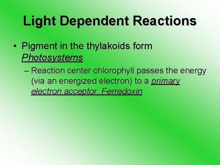 Light Dependent Reactions • Pigment in the thylakoids form Photosystems – Reaction center chlorophyll
