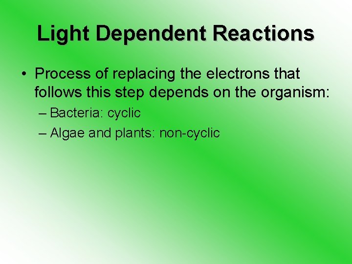 Light Dependent Reactions • Process of replacing the electrons that follows this step depends