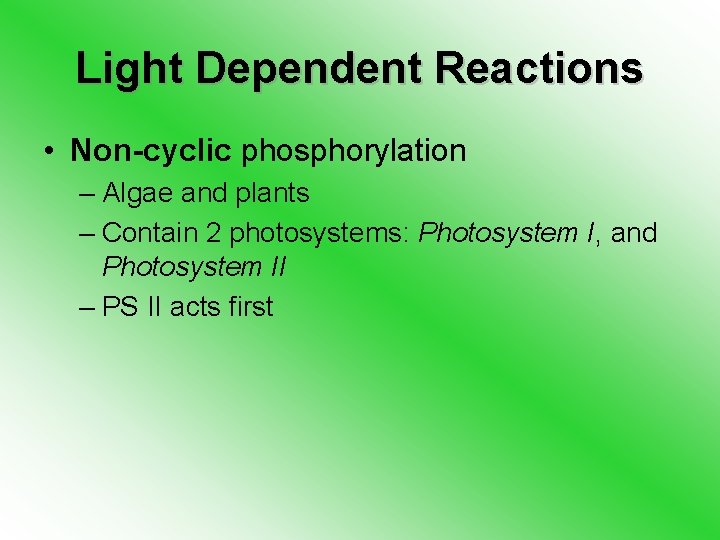 Light Dependent Reactions • Non-cyclic phosphorylation – Algae and plants – Contain 2 photosystems: