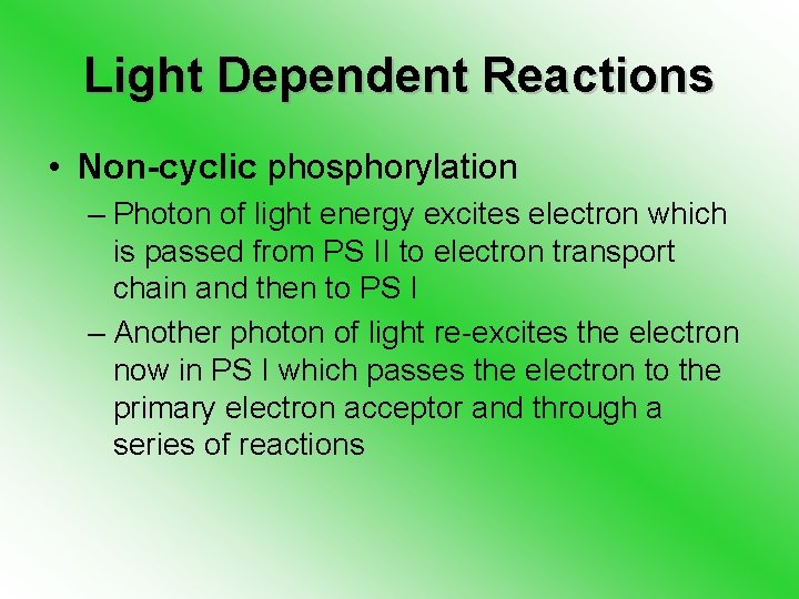 Light Dependent Reactions • Non-cyclic phosphorylation – Photon of light energy excites electron which