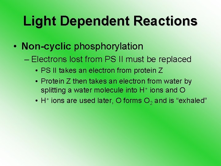 Light Dependent Reactions • Non-cyclic phosphorylation – Electrons lost from PS II must be