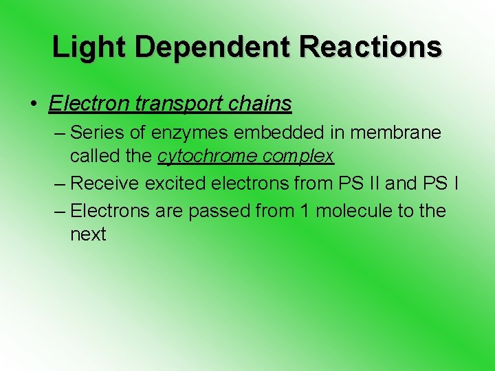 Light Dependent Reactions • Electron transport chains – Series of enzymes embedded in membrane