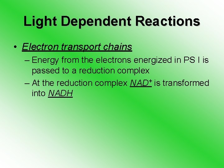 Light Dependent Reactions • Electron transport chains – Energy from the electrons energized in
