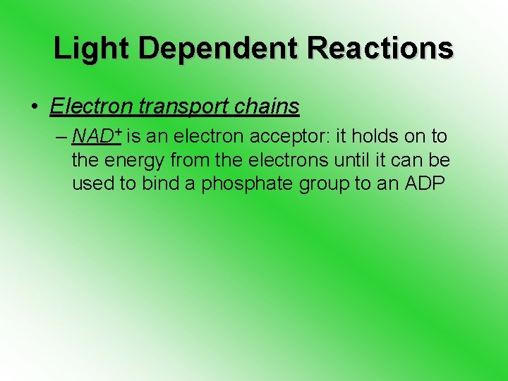 Light Dependent Reactions • Electron transport chains – NAD+ is an electron acceptor: it
