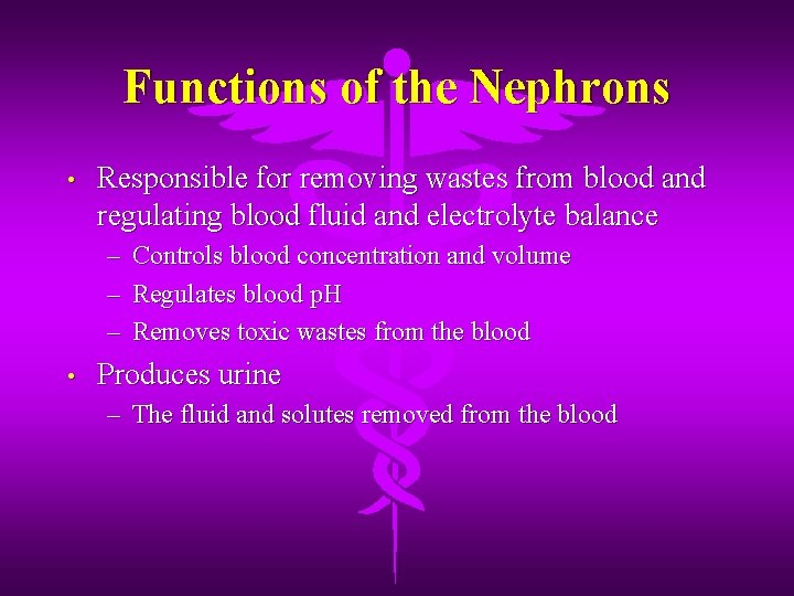 Functions of the Nephrons • Responsible for removing wastes from blood and regulating blood