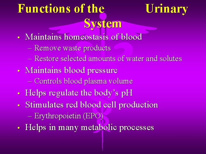 Functions of the System • Urinary Maintains homeostasis of blood – Remove waste products