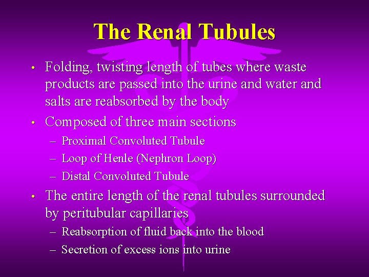 The Renal Tubules • • Folding, twisting length of tubes where waste products are