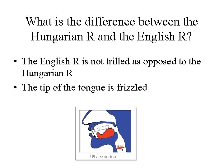 What is the difference between the Hungarian R and the English R? • The