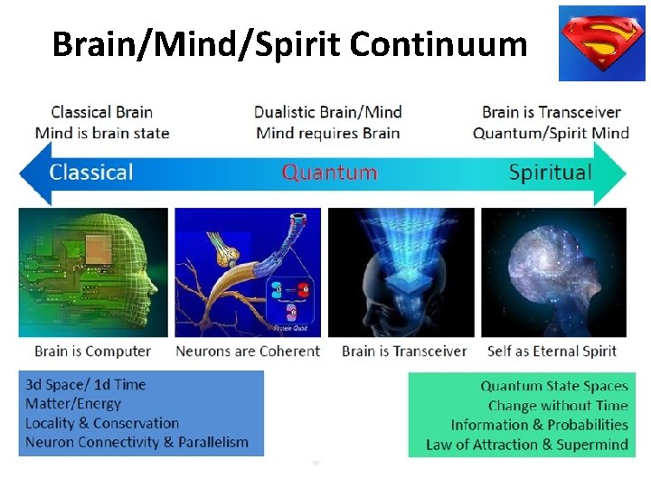 Brain/Mind/Spirit Continuum 