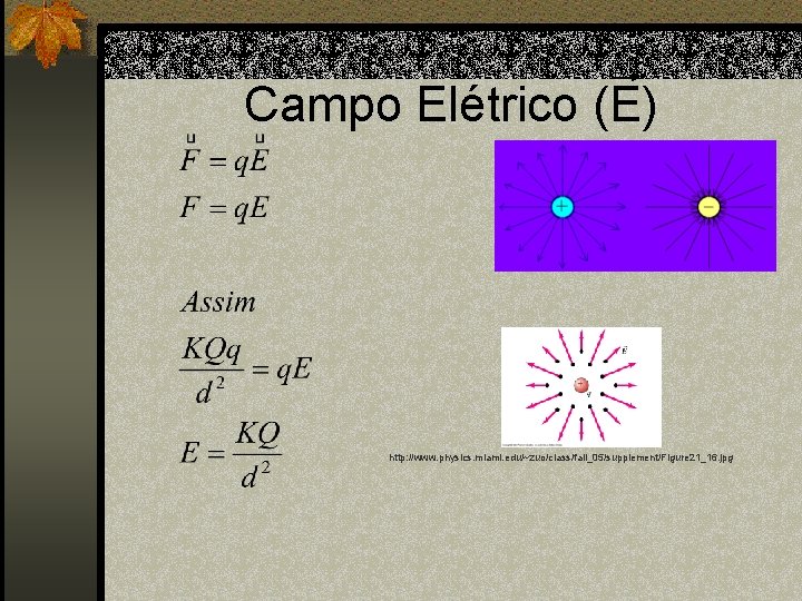 Campo Elétrico (E) http: //www. physics. miami. edu/~zuo/class/fall_05/supplement/Figure 21_16. jpg 