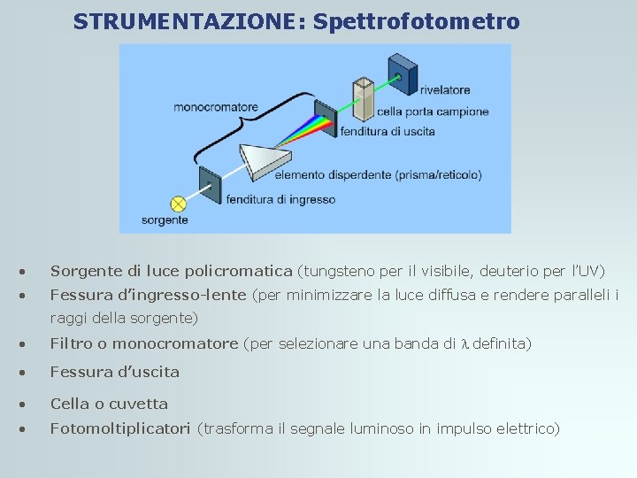 STRUMENTAZIONE: Spettrofotometro • Sorgente di luce policromatica (tungsteno per il visibile, deuterio per l’UV) STRUMENTAZIONE: Spettrofotometro • Sorgente di luce policromatica (tungsteno per il visibile, deuterio per l’UV)