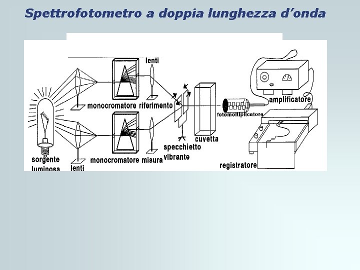 Spettrofotometro a doppia lunghezza d’onda Spettrofotometro a doppia lunghezza d’onda