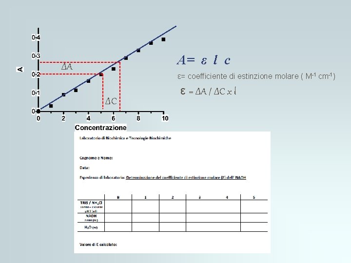 A= ε l c ΔA ε= coefficiente di estinzione molare ( M-1 cm-1) ΔC A= ε l c ΔA ε= coefficiente di estinzione molare ( M-1 cm-1) ΔC