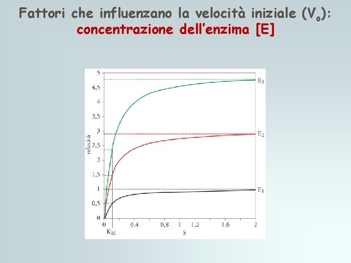 Fattori che influenzano la velocità iniziale (Vo): concentrazione dell’enzima [E] 