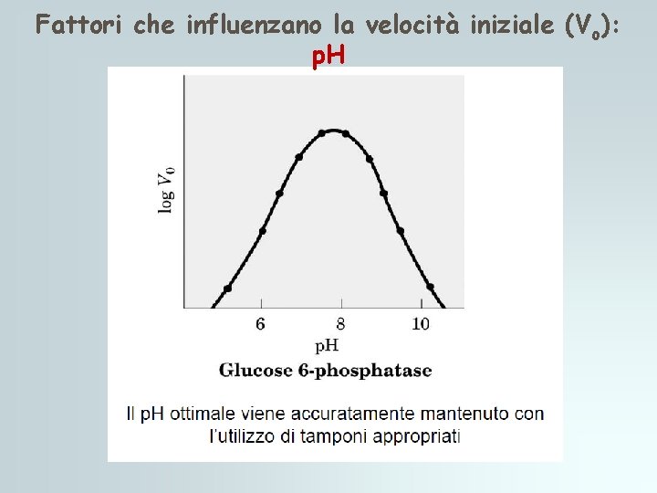 Fattori che influenzano la velocità iniziale (Vo): p. H Fattori che influenzano la velocità iniziale (Vo): p. H