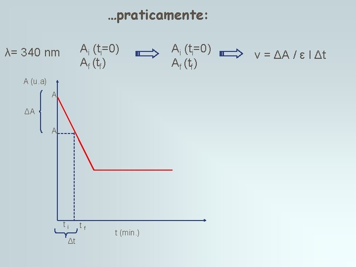…praticamente: Ai (ti=0) Af (tf) λ= 340 nm A (u. a) Ai ΔA Af …praticamente: Ai (ti=0) Af (tf) λ= 340 nm A (u. a) Ai ΔA Af