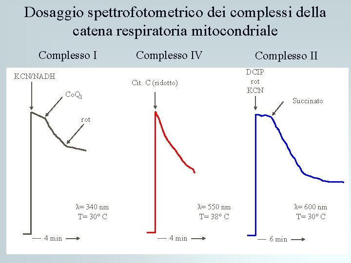 Dosaggio spettrofotometrico dei complessi della catena respiratoria mitocondriale Complesso I KCN/NADH Complesso IV Complesso Dosaggio spettrofotometrico dei complessi della catena respiratoria mitocondriale Complesso I KCN/NADH Complesso IV Complesso