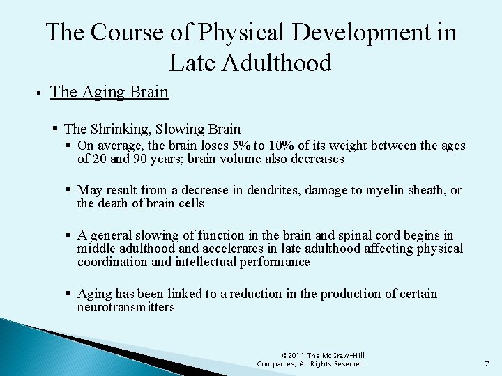 The Course of Physical Development in Late Adulthood § The Aging Brain § The