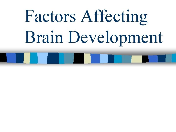 Factors Affecting Brain Development Factors Affecting Brain Development