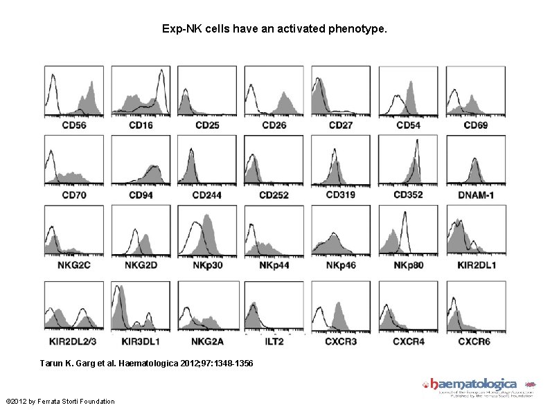 Exp-NK cells have an activated phenotype. Tarun K. Garg et al. Haematologica 2012; 97: