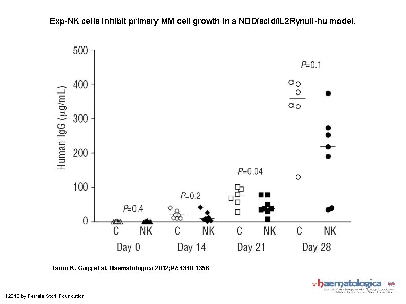 Exp-NK cells inhibit primary MM cell growth in a NOD/scid/IL 2 Rγnull-hu model. Tarun
