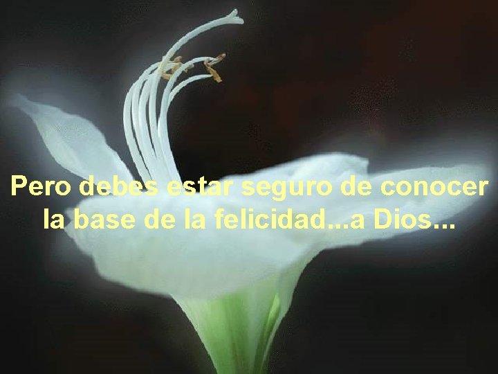 Pero debes estar seguro de conocer la base de la felicidad. . . a