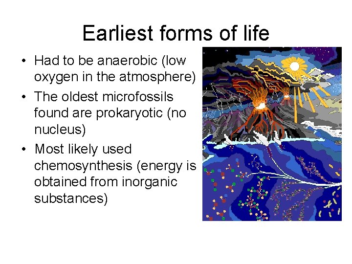 Earliest forms of life • Had to be anaerobic (low oxygen in the atmosphere)