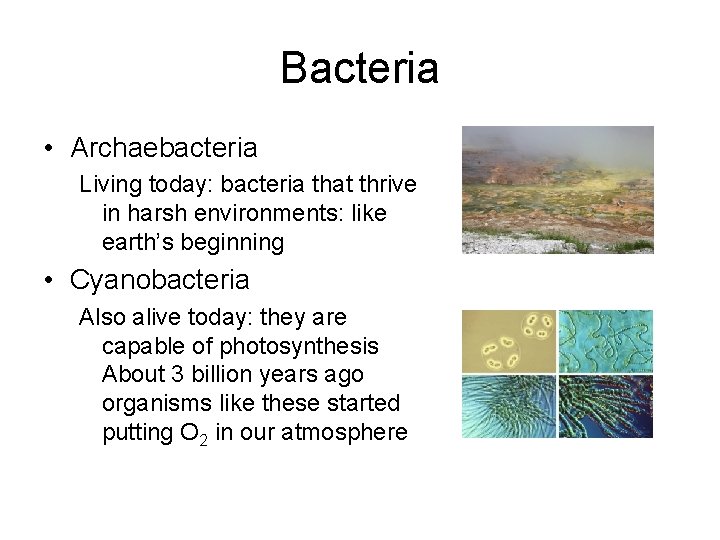 Bacteria • Archaebacteria Living today: bacteria that thrive in harsh environments: like earth’s beginning