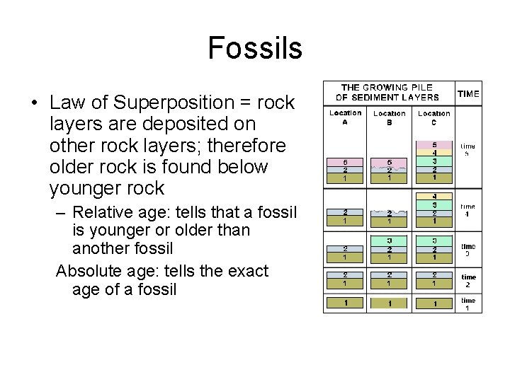 Fossils • Law of Superposition = rock layers are deposited on other rock layers;