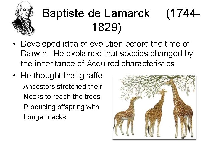 Jean Baptiste de Lamarck 1829) (1744 - • Developed idea of evolution before the