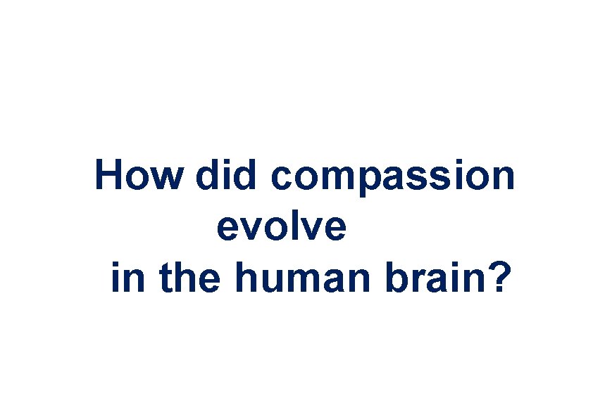 How did compassion evolve in the human brain? How did compassion evolve in the human brain?