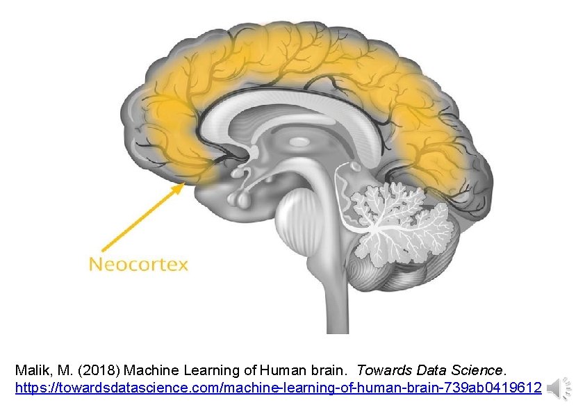 Malik, M. (2018) Machine Learning of Human brain. Towards Data Science. https: //towardsdatascience. com/machine-learning-of-human-brain-739 Malik, M. (2018) Machine Learning of Human brain. Towards Data Science. https: //towardsdatascience. com/machine-learning-of-human-brain-739