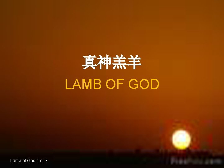 真神羔羊 LAMB OF GOD Lamb of God 1 of 7 