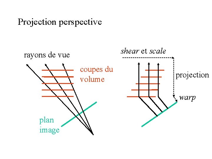 Projection perspective shear et scale rayons de vue coupes du volume projection warp plan