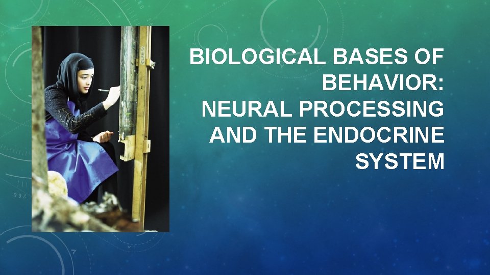 BIOLOGICAL BASES OF BEHAVIOR: NEURAL PROCESSING AND THE ENDOCRINE SYSTEM 