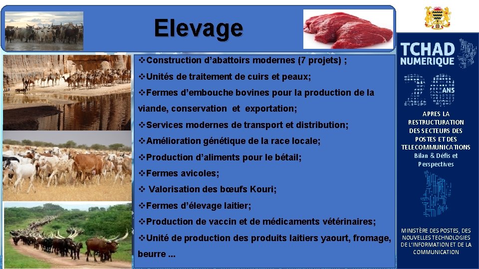 Elevage v. Construction d’abattoirs modernes (7 projets) ; v. Unités de traitement de cuirs