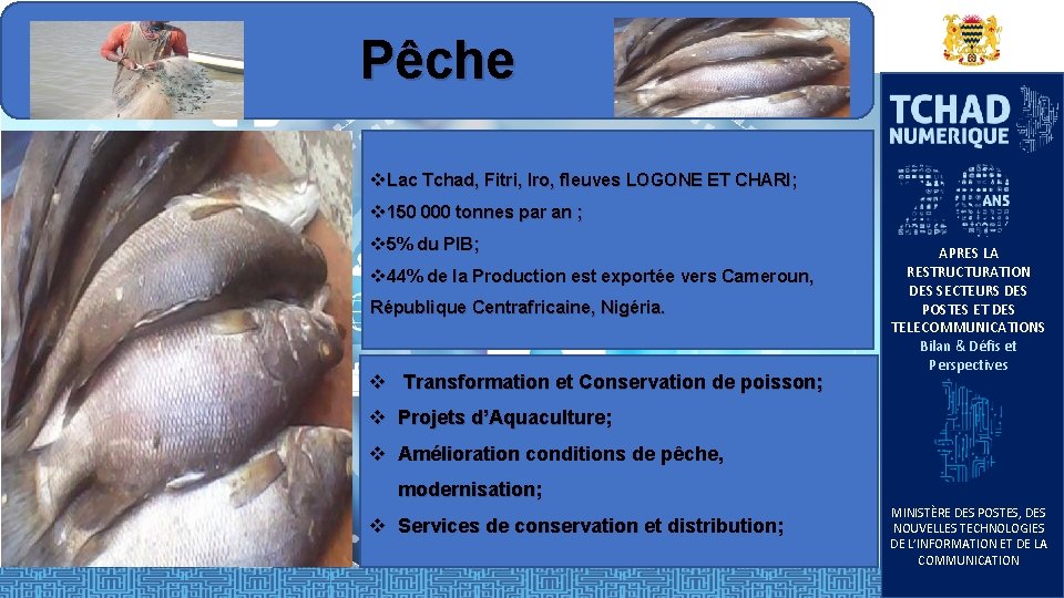 Pêche v. Lac Tchad, Fitri, Iro, fleuves LOGONE ET CHARI; v 150 000 tonnes