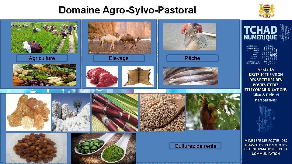 Domaine Agro-Sylvo-Pastoral Agriculture Elevage Pêche APRES LA RESTRUCTURATION DES SECTEURS DES POSTES ET DES