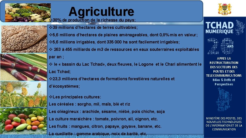 Agriculture v 38% de production de la richesse du pays; v 39 millions d’hectares Agriculture v 38% de production de la richesse du pays; v 39 millions d’hectares