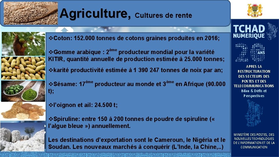  Agriculture, Cultures de rente v. Coton: 152. 000 tonnes de cotons graines produites