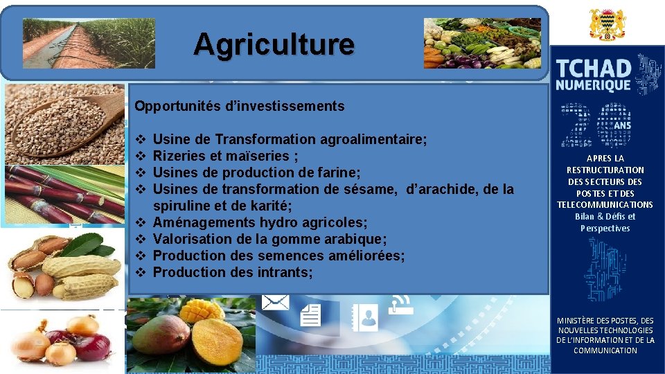 Agriculture Opportunités d’investissements v v v v Usine de Transformation agroalimentaire; Rizeries et maïseries