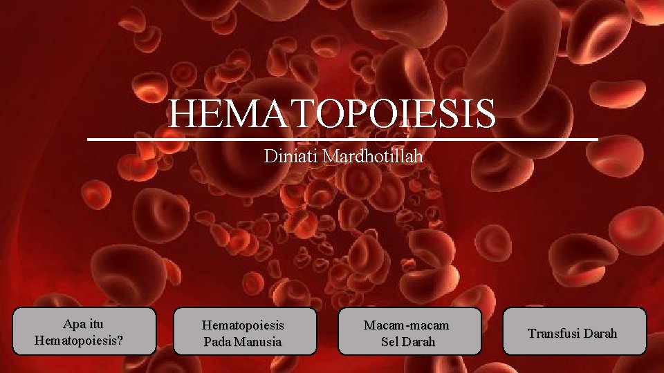 HEMATOPOIESIS Diniati Mardhotillah Apa itu Hematopoiesis? Hematopoiesis Pada Manusia Macam-macam Sel Darah Transfusi Darah