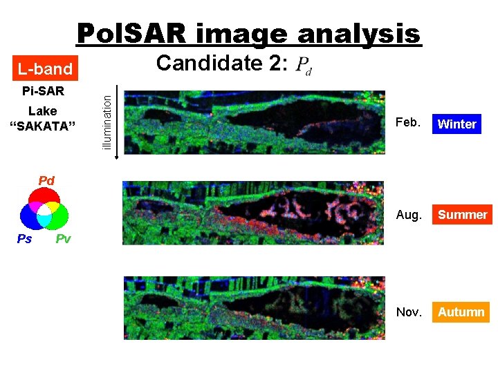 Pol. SAR image analysis Candidate 2: Pi-SAR Lake “SAKATA” illumination L-band Feb. Winter Aug.