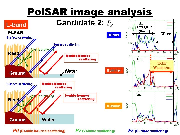 Pol. SAR image analysis Candidate 2: L-band Pi-SAR Emergent (Reeds) Winter Surface scattering Water