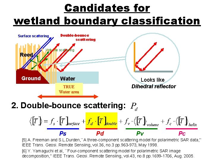 Candidates for wetland boundary classification Surface scattering Reed Ground Double-bounce scattering Volume scattering Water