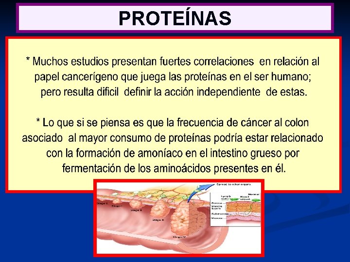 PROTEÍNAS 