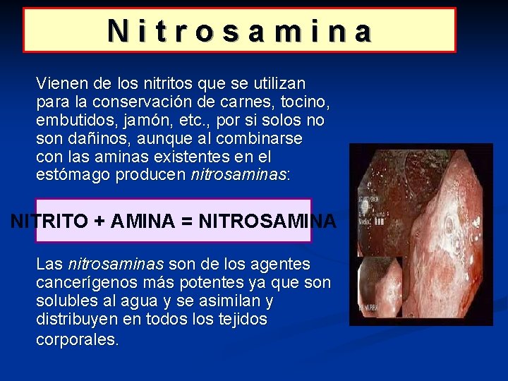 Nitrosamina Vienen de los nitritos que se utilizan para la conservación de carnes, tocino,