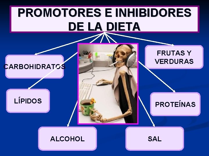PROMOTORES E INHIBIDORES DE LA DIETA CARBOHIDRATOS LÍPIDOS FRUTAS Y VERDURAS PROTEÍNAS ALCOHOL SAL
