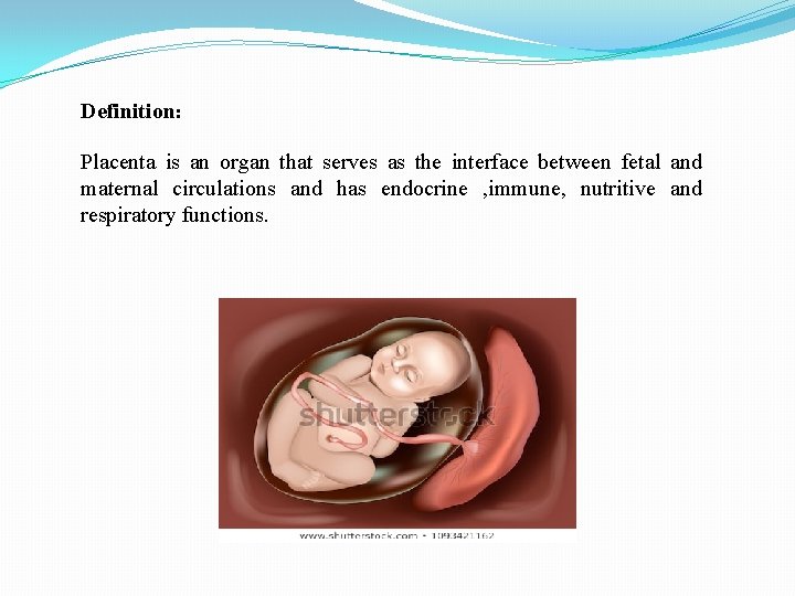 Definition: Placenta is an organ that serves as the interface between fetal and maternal